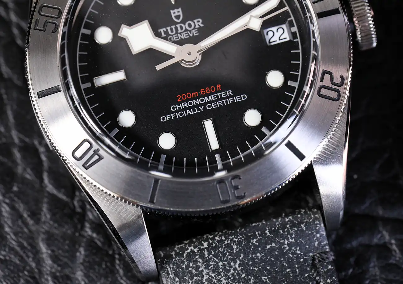 Tudor blackbay